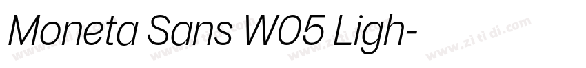 Moneta Sans W05 Ligh字体转换